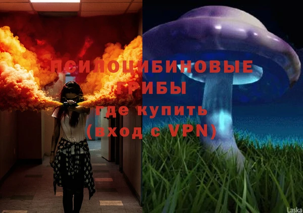ПСИЛОЦИБИНОВЫЕ ГРИБЫ Лиски