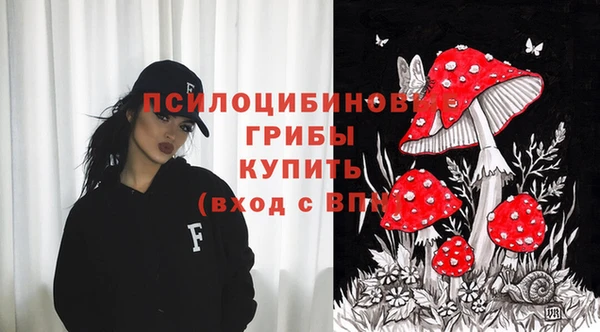 ПСИЛОЦИБИНОВЫЕ ГРИБЫ Лиски
